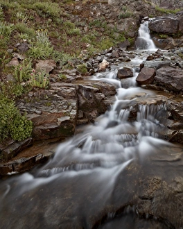 Cascading Prints: Cascades in Minnie Gulch, San Juan National Forest