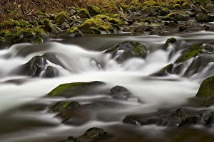 Boulders Prints: Cascades through moss-covered boulders