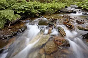 Cascades on Yellow Dog Creek, Coeur d Alene National Forest, Idaho Panhandle National Forests, Idaho, United States of America, North America