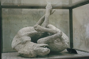 Exhibition Prints: Cast of dog