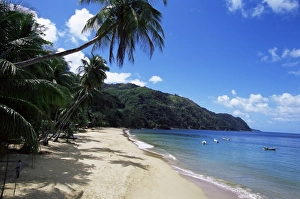 Castara Bay