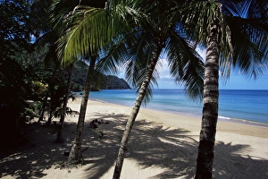 Tobago Prints: Castara Bay