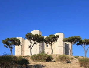Images Dated 26th August 2010: Castel Del Monte (Federico II Castle), UNESCO World Heritage Site, Puglia, Italy, Europe