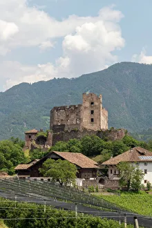 Grove Prints: Castel Rafenstein, Bozen district, Sudtirol (South Tyrol), Italy, Europe