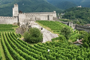 Ticino Prints: Castelgrande, the oldest of the three castles in Bellizona, Canton Ticino, Switzerland