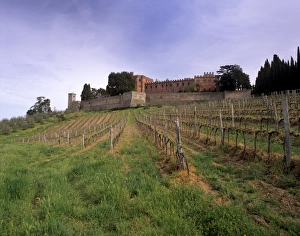 Chianti Prints: Castello di Brolio and famous vineyards