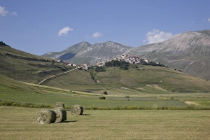 Castelluccio di Norcia, Norcia, Umbria, Italy, Europe