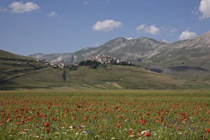 Castelluccio di Norcia, Norcia, Umbria, Italy, Europe