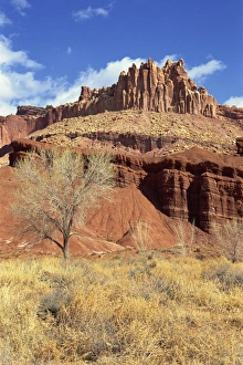 Capitol Reef Prints: The Castle, Capitol Reef National Park