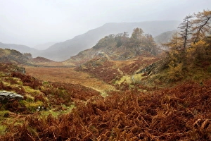 Castle Crag in the mist near Grange, Borrowdale, Lake District National Park, Cumbria, England, United Kingdom, Europe