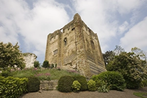 Images Dated 4th June 2007: Castle, Guildford, Surrey, England, United Kingdom, Europe