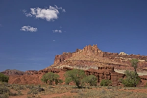 Sand Stone Prints: The Castle and Highway 24, Capitol Reef National Park