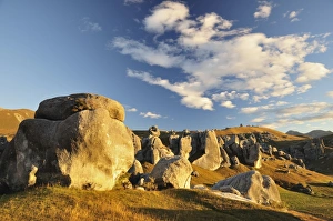 Images Dated 19th April 2010: Castle Hill, Canterbury high country, South Island, New Zealand, Pacific