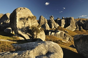 Images Dated 19th April 2010: Castle Hill, Canterbury high country, South Island, New Zealand, Pacific