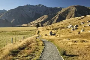 Images Dated 19th April 2010: Castle Hill, Canterbury high country, South Island, New Zealand, Pacific