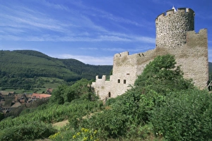 Kaysersberg Prints: Castle, Kaysersberg, Alsace, France, Europe
