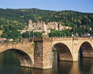 Neckar Prints: Castle, Neckar River and Alte bridge