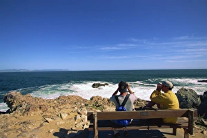 Castle Rock Prints: Castle Rock and Atlantic Ocean