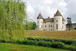 Burgundy Prints: Castle of Savigny-les-Beaune, Cote-d Or department, Burgundy region, France, Europe