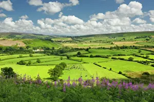 In Bloom Prints: Castleton village, The North Yorkshire Moors National Park