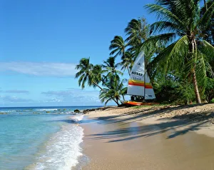 Barbados Prints: Catamaran on beach, Barbados, West Indies, Caribbean, Central America