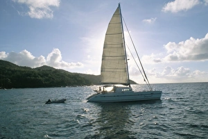Recreational Boat Prints: Catamaran, island of Praslin