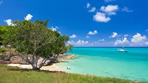Bermuda Prints: Catamaran sails past a sandy beach in Drews Bay on the east end of Bermuda