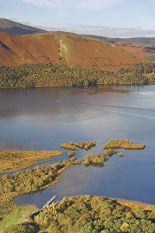 Cat Bells Prints: Catbells and Derwentwater from Surprise view above Lodore, Derwentwater