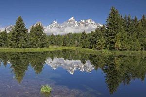 Grand Teton Prints: The Cathedral Group of Mount Teewinot