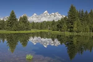 Images Dated 12th June 2007: The Cathedral Group of Mount Teewinot, Mount Owen and Grand Teton reflected in the Beaver Pond