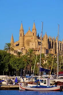 Typically Spanish Gallery: Cathedral and Harbour, Palma, Mallorca, Spain, Europe