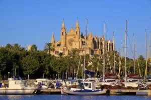 Images Dated 4th July 2008: Cathedral and Harbour, Palma, Mallorca, Spain, Europe
