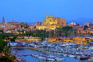 Images Dated 9th July 2008: Cathedral and Harbour, Palma, Mallorca, Spain, Europe