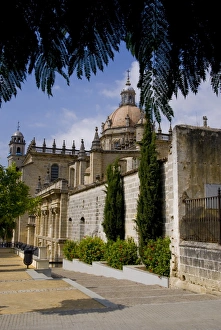 Andalusia Prints: Cathedral, Jerez de la Frontera, Andalucia, Spain, Europe