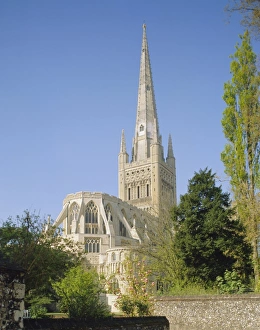 The Cathedral, Norwich, Norfolk, England, UK