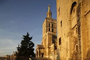 Images Dated 30th October 2009: Cathedral and Palais des Papes, UNESCO World Heritage Site, Avignon, Vaucluse, France