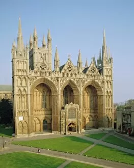 Vegetation Collection: The Cathedral, Peterborough, Cambridgeshire, England, UK