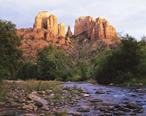 Cathedral Rock Gallery: Cathedral Rock, Sedona, Arizona, United States of America (U