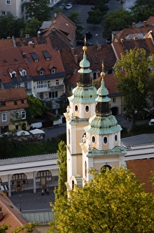 Cathedral of St