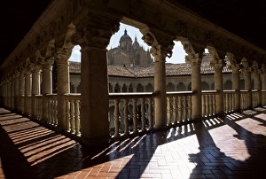 Nunnery Prints: Cathedral viewed from the cloisters of Las Duenas Convent