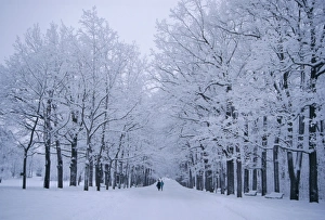 February Prints: Catherines Park in February, Tsarske Seloe (Puskin), St