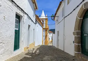 Alentejo Prints: Two cats in a back street in Alegrete, a medieval walled village bordering Spain