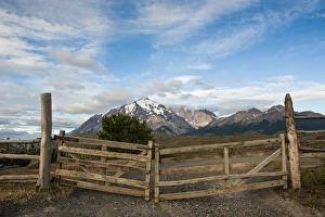 Images Dated 13th December 2008: Cattle gate with the towers of the Torres del Paine National Park in background, Patagonia, Chile