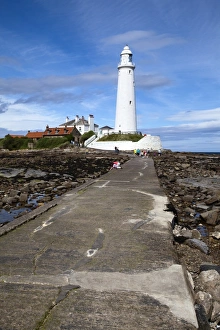 Light House Prints: Causeway to St. Marys Lighthouse on St