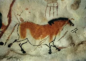 Images Dated 30th July 2008: Cave painting, Lascaux, Aquitaine, France