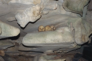 Cave tomb at Londa