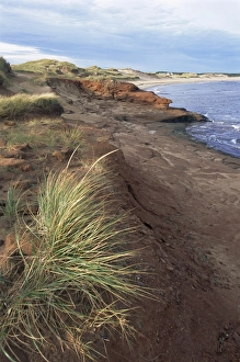 Prince Edward Island Prints: Cavendish coast, Prince Edward Island, Canada, North America