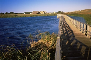 Jetties Prints: Cavendish National Park, Prince Edward Island, Canada, North America