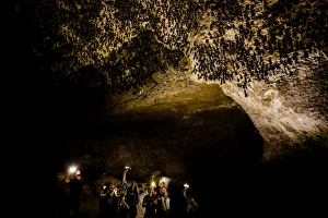 Pokhara Prints: Cavers shining lamps on bats in Pokhara Bat Caves, Pokhara, Nepal, Asia