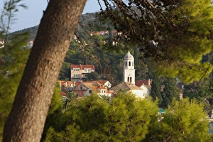 Cavtat Prints: Cavtat town through trees, Cavtat, Dalmatia, Croatia, Europe